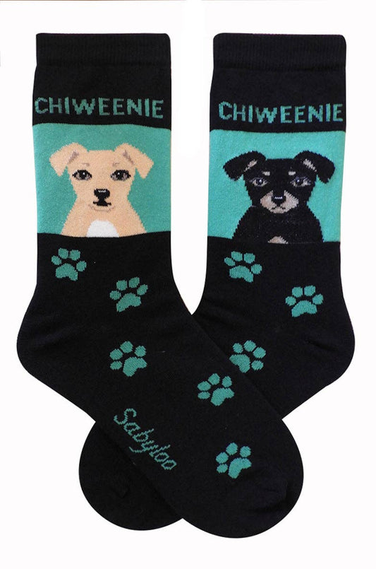 Chiweenie Dog Socks: 10-13