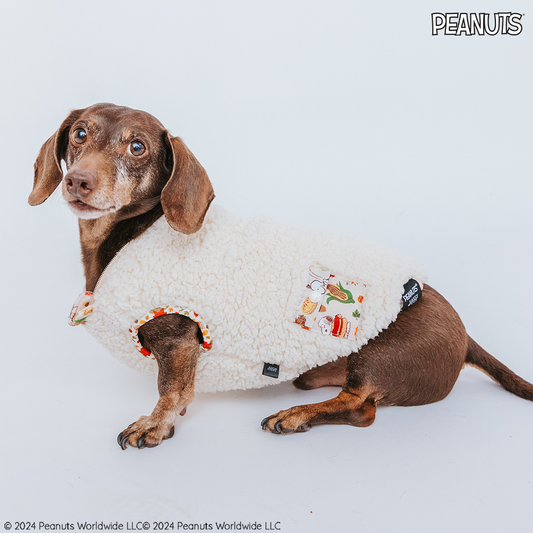 Dog Reversible Sherpa Jacket - Peanuts™ Snoopy Harvest