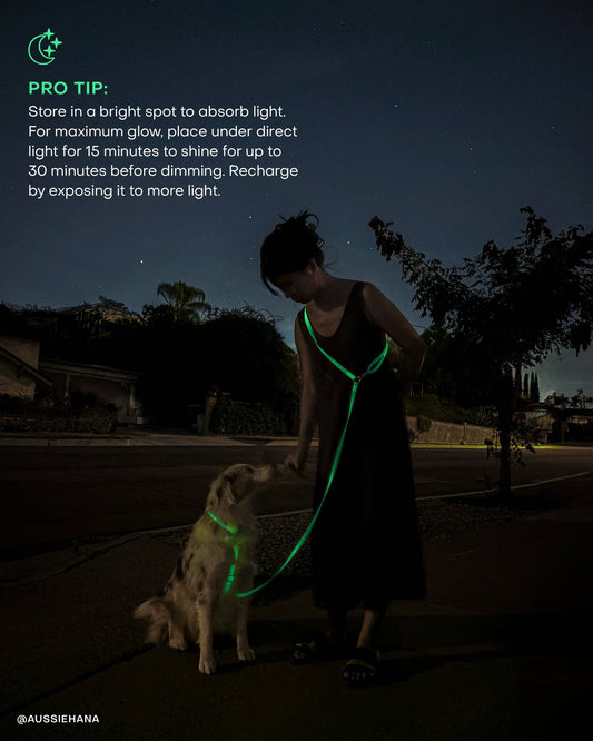 Lunar Glow Waterproof Cloud Dog Leash