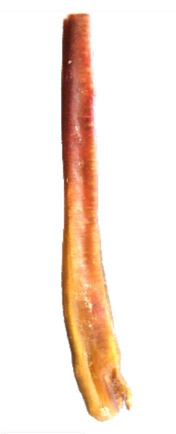 Bully Stick 12 Inch Monster
