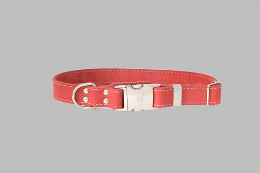 Quick-Release Style Soft Leather Euro Dog Collar: Coral Soft