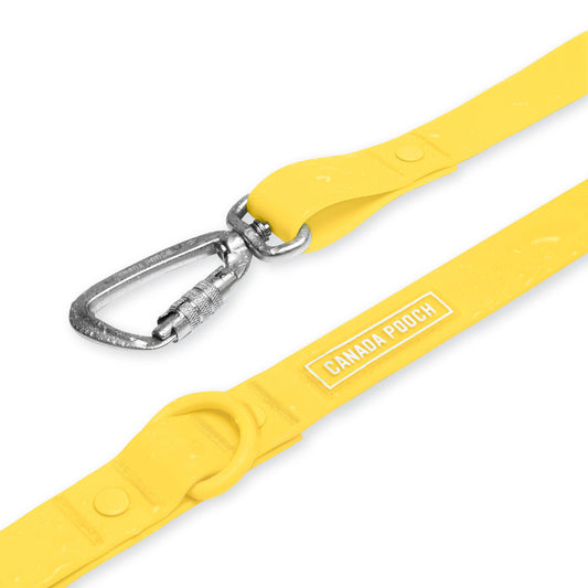 Waterproof Dog Leash (Yellow)