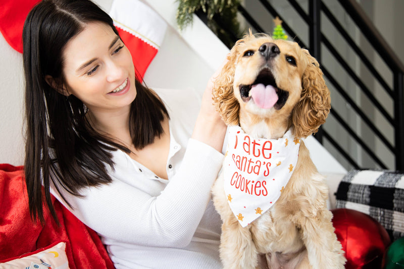 "I Ate Santa's Cookies" Christmas Dog Bandana, S/M