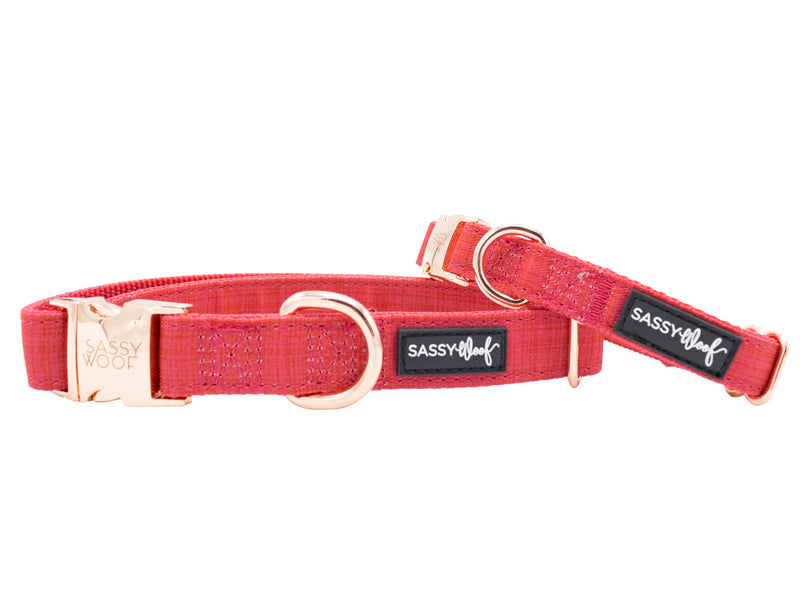 Sassy Woof Adjustable Dog Collar - Neoprene