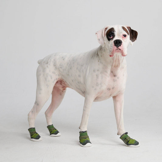 Spark Paws Hot Pavement Pawtector Dog Shoes - Green