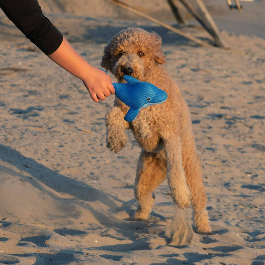 Chill Seeker Cooling Pals Dog Toy (Blue Dolphin): O/S / Blue Dolphin