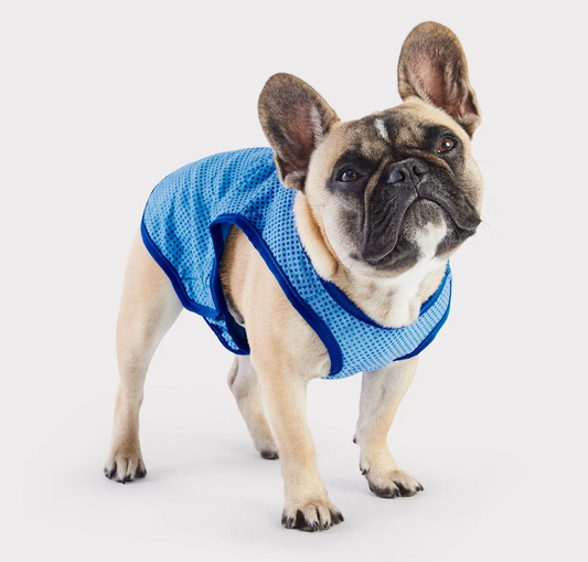 GF Pet Cooling Ice Vest