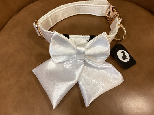 White Collar with Wedding Bow