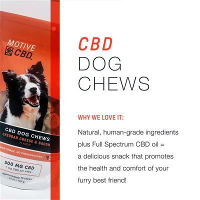 Full Spectrum CBD Dog Chews 500mg Cheddar Cheese & Bacon Flavor