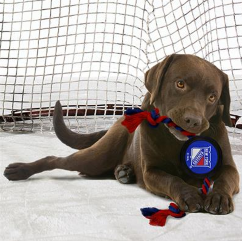 NY Rangers - Hockey Puck Toy