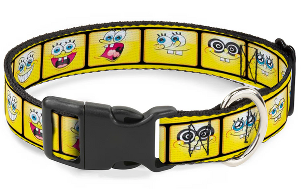 Buckle Down Dog Collar - Spongebob Squarepants