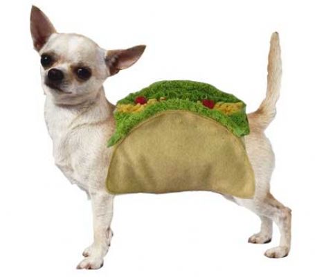 Taco Costume