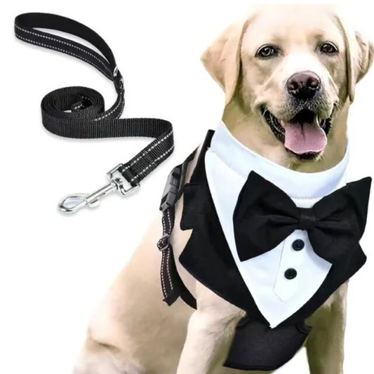 Tuxedo Wedding Harness & Leash Set