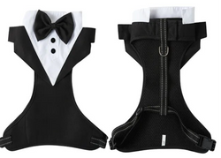 Tuxedo Wedding Harness