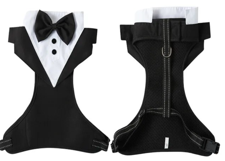 Tuxedo Wedding Harness