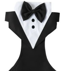 Tuxedo Wedding Harness