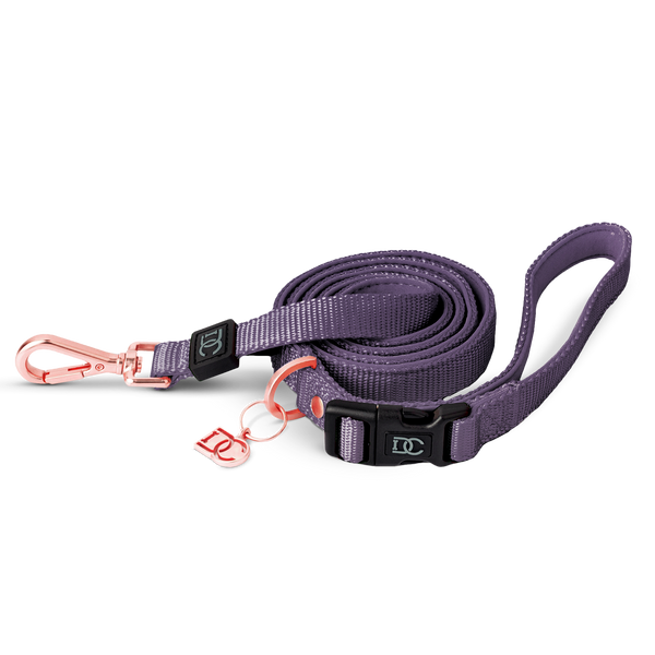 Secure-In-Place Dog Leash - Modern Purple: Medium