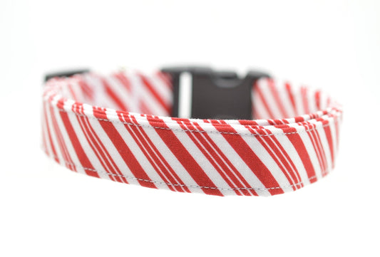 Candy Cane Stripe Collar: Medium