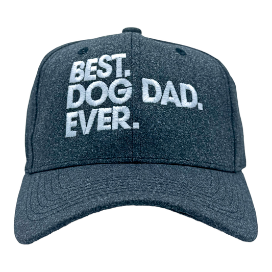 Best Dog Dad Ever Hat - Father's Day