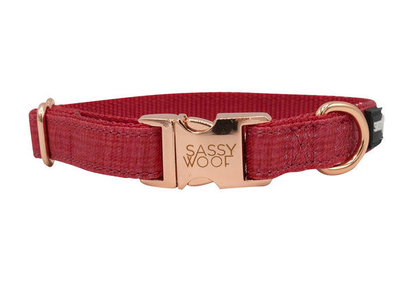 Sassy Woof Adjustable Dog Collar - Neoprene