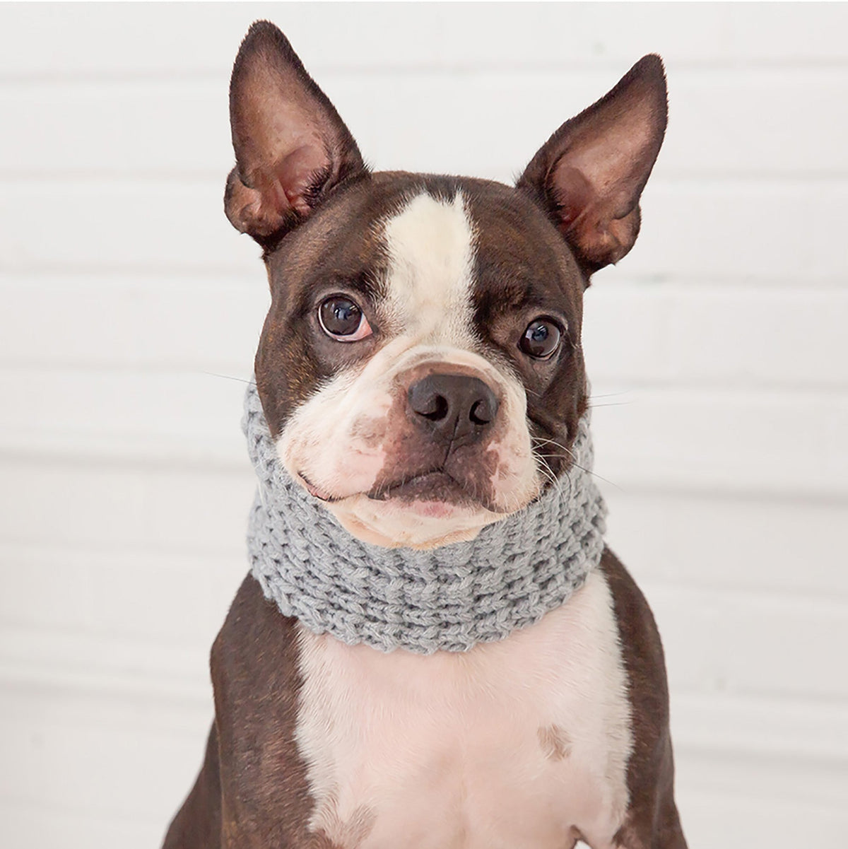 The GF PET® Chalet Tube Scarf adds a little warmth to a cold walk. The biggest size can fit a human, so you and your pup can match in this timeless & luxurious knit classic!  Product details:  Quality, oversize knit Size large fits a human!  100% Acrylic