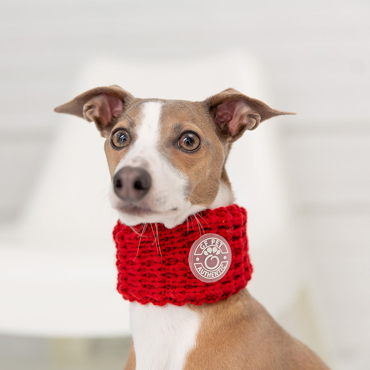 The GF PET® Chalet Tube Scarf adds a little warmth to a cold walk. The biggest size can fit a human, so you and your pup can match in this timeless & luxurious knit classic!  Product details:  Quality, oversize knit Size large fits a human!  100% Acrylic SKU: GA348F0-RD