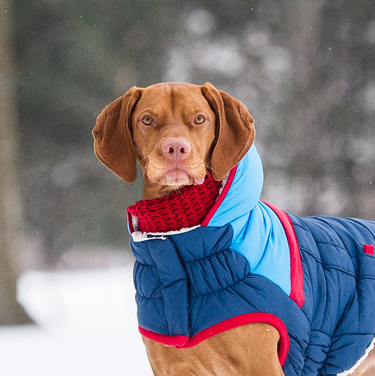 The GF PET® Chalet Tube Scarf adds a little warmth to a cold walk. The biggest size can fit a human, so you and your pup can match in this timeless & luxurious knit classic!  Product details:  Quality, oversize knit Size large fits a human!  100% Acrylic SKU: GA348F0-RD