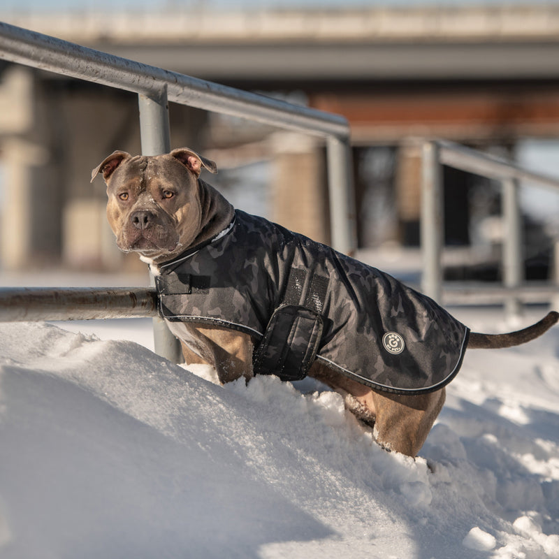 The GF PET® waterproof blanket jacket, in ultra-durable polyester oxford, is the ultimate in function and comfort. Easy to put on, the polar fleece lining and reflective piping make this jacket the perfect protection on wet and cold days. Wear alone or over your favorite GF PET sweater or gondola base layer.