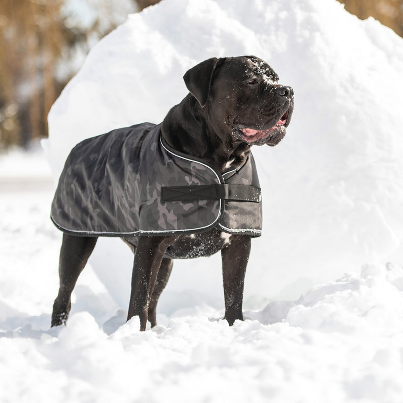 The GF PET® waterproof blanket jacket, in ultra-durable polyester oxford, is the ultimate in function and comfort. Easy to put on, the polar fleece lining and reflective piping make this jacket the perfect protection on wet and cold days. Wear alone or over your favorite GF PET sweater or gondola base layer.