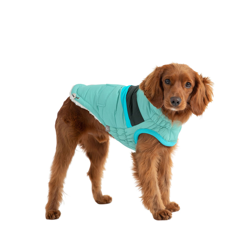 Alpine Puffer Dog Jacket - Light Aqua