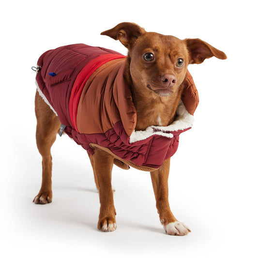 fashion and warmth. Its' ultra puff look and trendy color blocks are a stunning statement of canine vogue! Both retro and modern at the same time, this gorgeous puffer sports oversized faux pockets, accent stitching and next generation styling.  With GF PET signature pocket tabs & contrast binding, this retro puffer keeps it real with snuggly warm popcorn sherpa lining.  Water repellent and super adjustable,