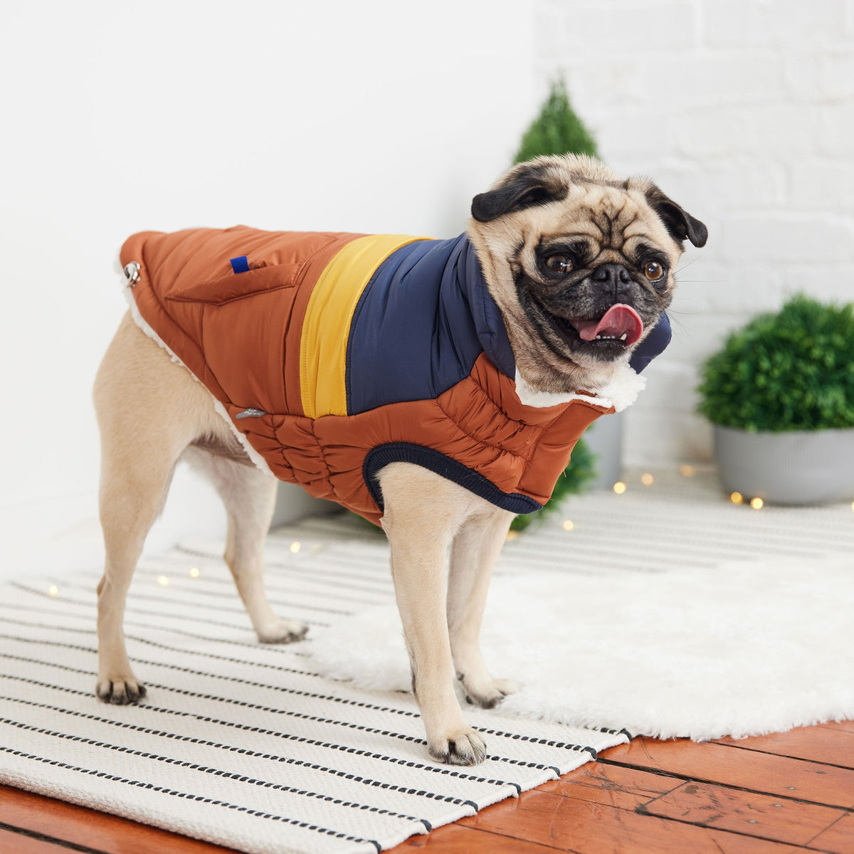 fashion and warmth. Its' ultra puff look and trendy color blocks are a stunning statement of canine vogue! Both retro and modern at the same time, this gorgeous puffer sports oversized faux pockets, accent stitching and next generation styling.  With GF PET signature pocket tabs & contrast binding, this retro puffer keeps it real with snuggly warm popcorn sherpa lining.  Water repellent and super adjustable,