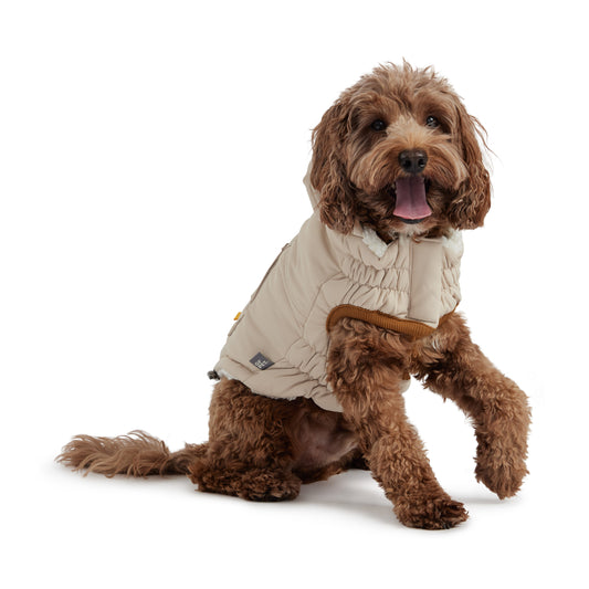 Arctic Parka Dog Jacket - Sand