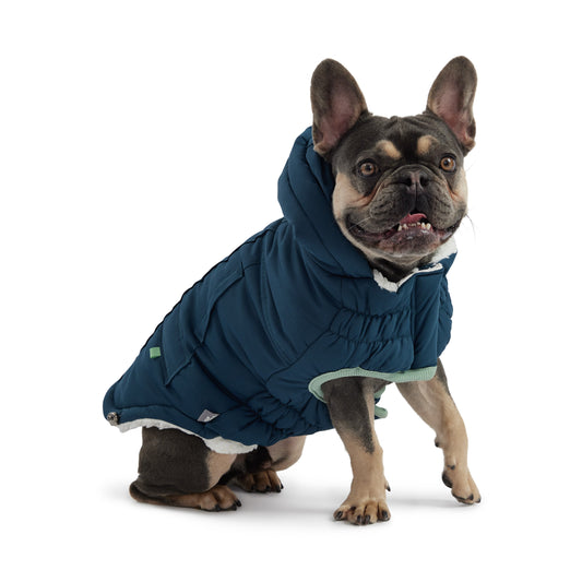 Arctic Parka Dog Jacket - Teal