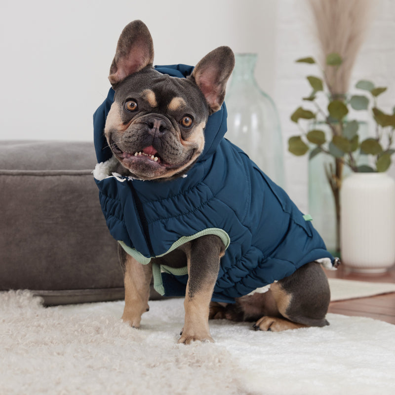 Arctic Parka Dog Jacket - Teal