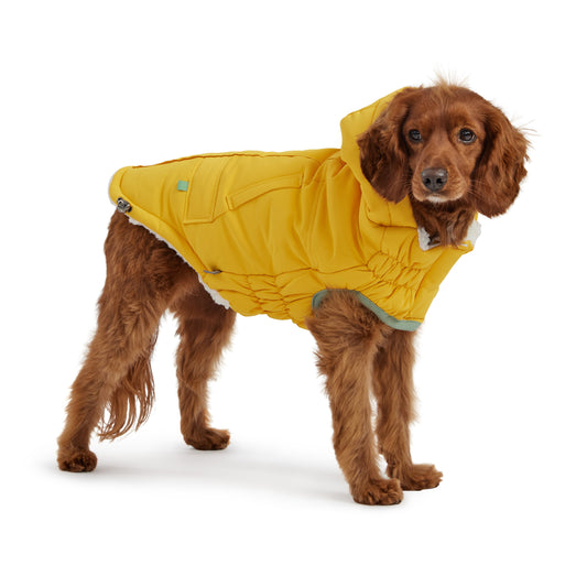 Arctic Parka Dog Jacket - Yellow