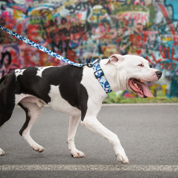 The GF PET Comic Book dog collar is fun and versatile, made of durable, quality nylon. Flaunt your dog's inner superhero and grab a matching leash too!  Product details:  Unisex, exciting and ageless comic book design Made of durable, quality nylon Adjustable with heavy duty buckle closure Authentic GF PET logo Also available in Tie-Dye or Lightning Bolt design Matching leash available