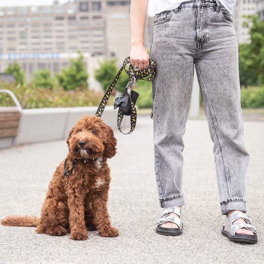 The GF PET® Poop Bag Dispenser makes the inevitable stylish and easy, with a carabiner clasp to attach to any leash, bag, or belt loop. Made of durable, quality soft-shell polyester, so no hard plastic to flop around. Sports a zipper opening for easy refill and a rubber slit opening to dispense bags as needed. Fits a standard size roll of up to 15 bags (roll not included). Choose from our timeless Black or groovy Tie-dye. Never be caught again without poop bags!