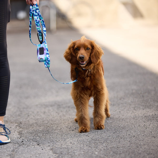 The GF PET® Poop Bag Dispenser makes the inevitable stylish and easy, with a carabiner clasp to attach to any leash, bag, or belt loop. Made of durable, quality soft-shell polyester, so no hard plastic to flop around. Sports a zipper opening for easy refill and a rubber slit opening to dispense bags as needed. Fits a standard size roll of up to 15 bags (roll not included). Choose from our timeless Black or groovy Tie-dye. Never be caught again without poop bags!