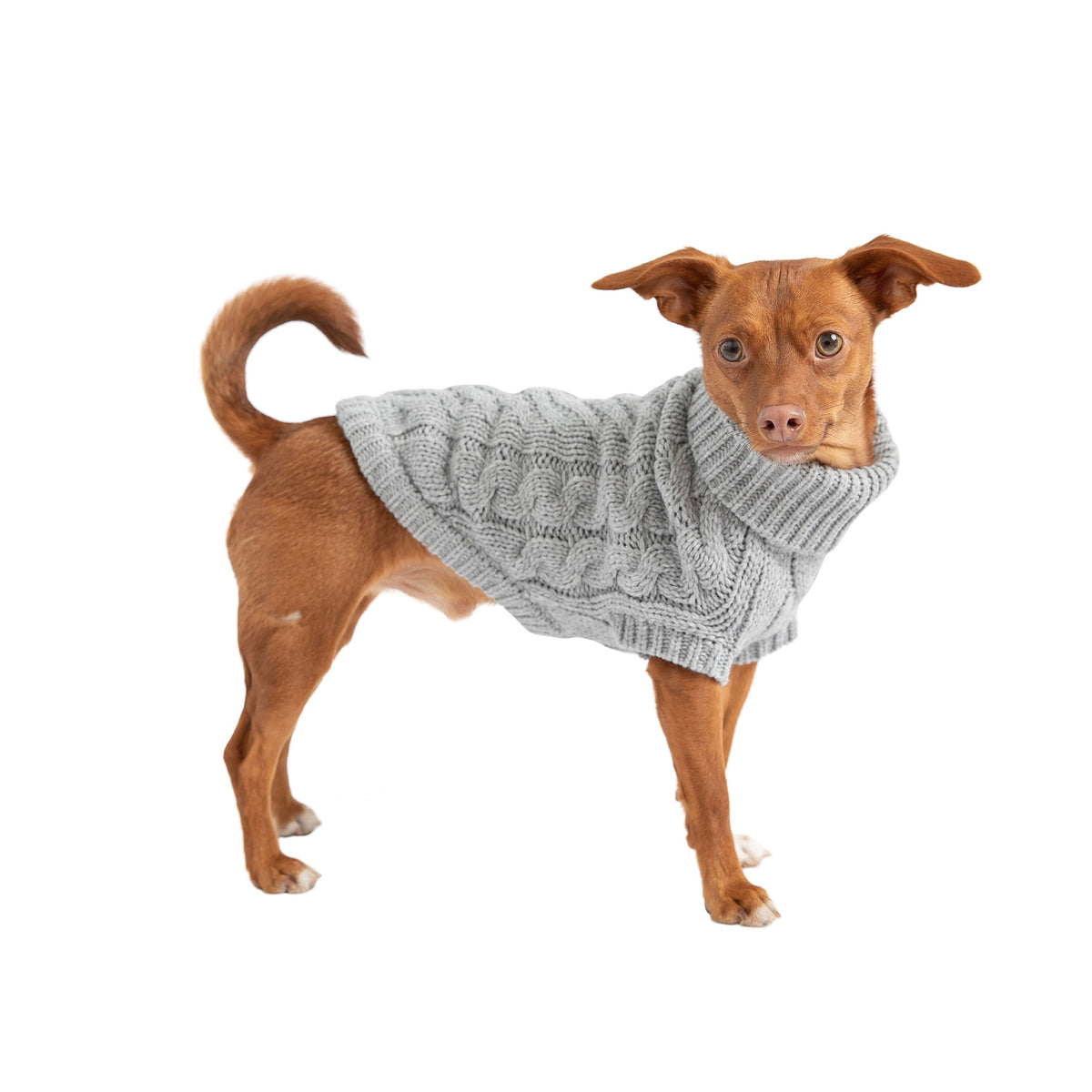 The GF PET Chalet Sweater is chunky and snuggly soft. The high turtleneck, ribbed arm holes and sculpted body shape make for a super comfy fit for both boy and girl doggies. A timeless and luxurious cable knit classic! Product details: Quality oversize knit Secure ribbed arm holes Turtleneck Superior fit 100% Acrylic SKU: GS391F0-GREY Fitting: Simply pull the sweater over on your dog's head, insert front legs and pull to cover the back. With this great stretch, there is no fuss!