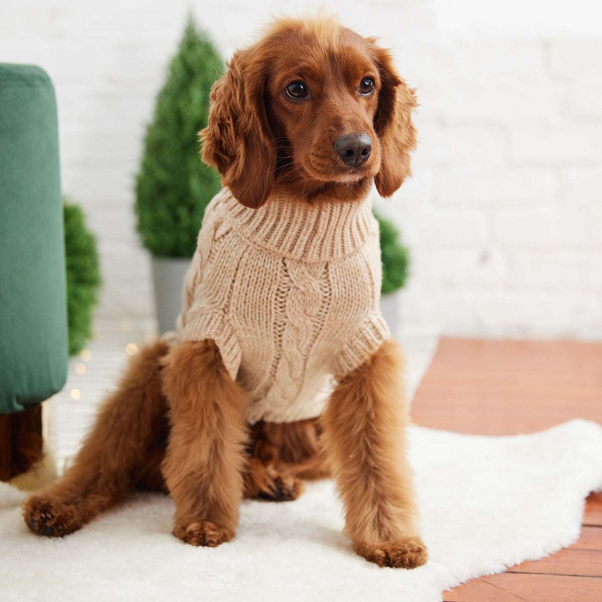 The GF PET Chalet Sweater is chunky and snuggly soft. The high turtleneck, ribbed arm holes and sculpted body shape make for a super comfy fit for both boy and girl doggies. A timeless and luxurious cable knit classic!