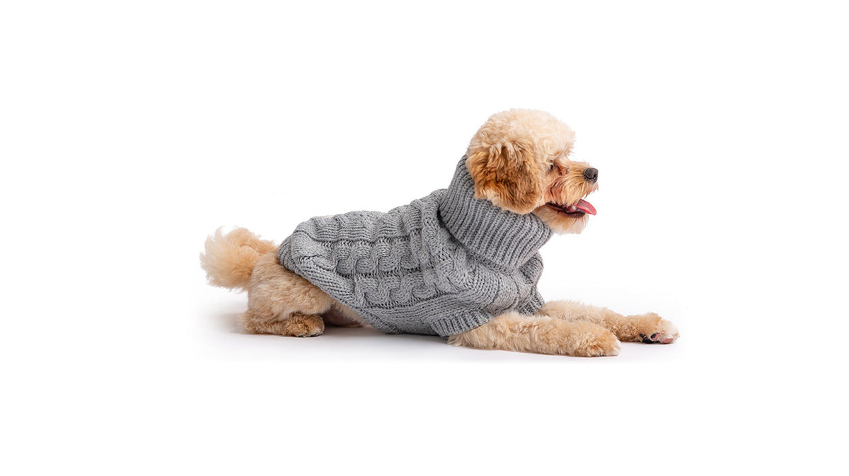 The GF PET Chalet Sweater is chunky and snuggly soft. The high turtleneck, ribbed arm holes and sculpted body shape make for a super comfy fit for both boy and girl doggies. A timeless and luxurious cable knit classic! Product details: Quality oversize knit Secure ribbed arm holes Turtleneck Superior fit 100% Acrylic SKU: GS391F0-GREY Fitting: Simply pull the sweater over on your dog's head, insert front legs and pull to cover the back. With this great stretch, there is no fuss!