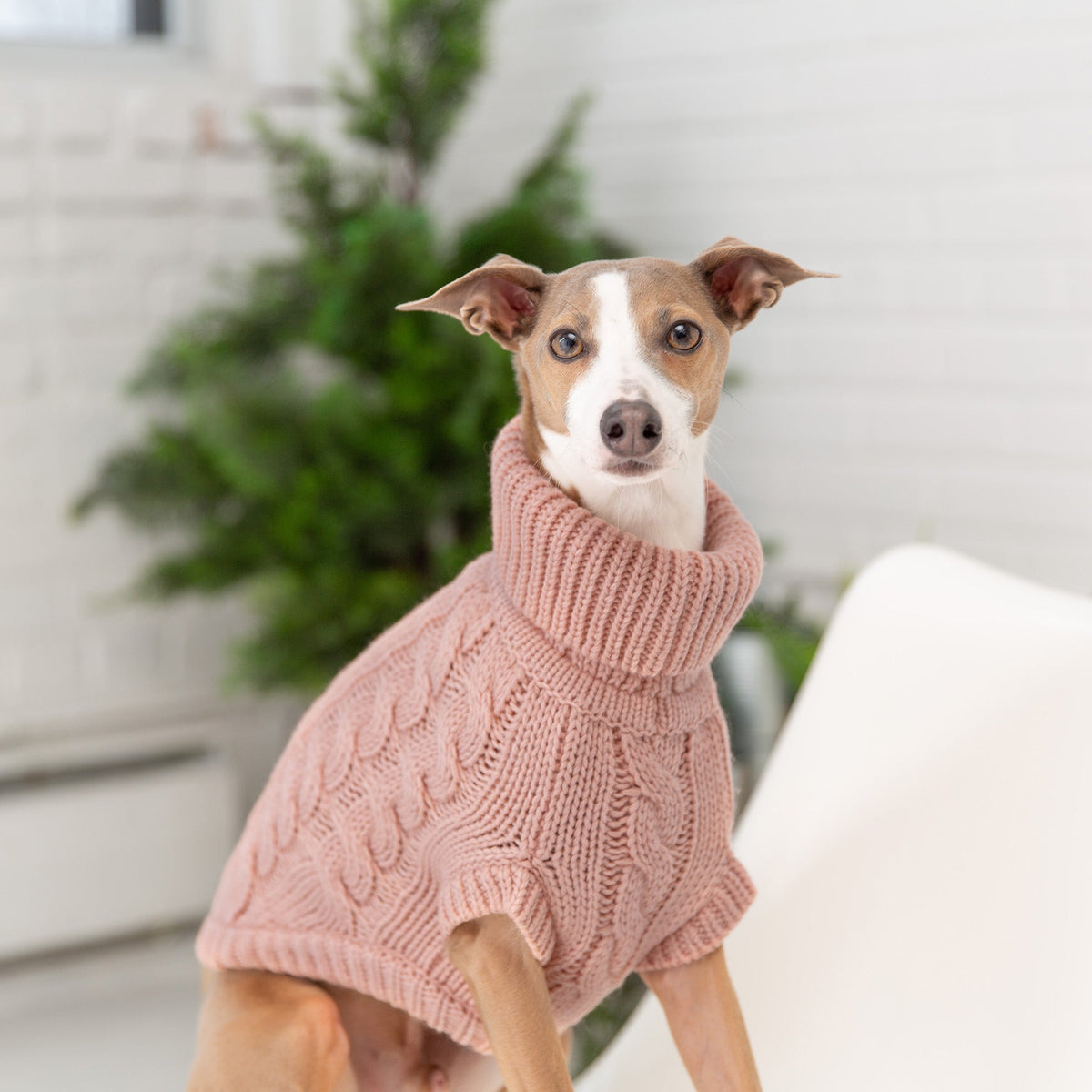 The GF PET Chalet Sweater is chunky and snuggly soft. The high turtleneck, ribbed arm holes and sculpted body shape make for a super comfy fit for both boy and girl doggies. A timeless and luxurious cable knit classic!  Product details:  Quality oversize knit Secure ribbed arm holes Turtleneck Superior fit