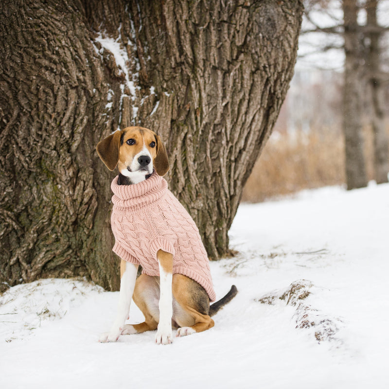 The GF PET Chalet Sweater is chunky and snuggly soft. The high turtleneck, ribbed arm holes and sculpted body shape make for a super comfy fit for both boy and girl doggies. A timeless and luxurious cable knit classic!  Product details:  Quality oversize knit Secure ribbed arm holes Turtleneck Superior fit