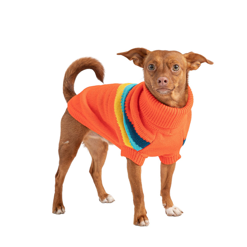 Fall Dog Sweater, Halloween, Retro Sweater