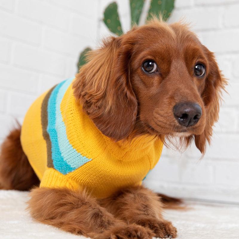 Alpine Dog Sweater