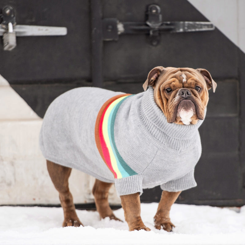 The GF Pet Retro Sweater is a must for trendsetting dogs with its’ bold, cool and colorful retro styling. This quality multi-knit turtleneck boasts a comfortable, sculpted unisex fit, secure ribbed arm holes and an authentic GF PET Logo Patch. Irresistible!! 