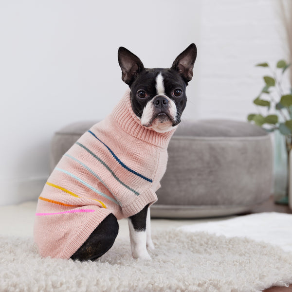 Arctic Dog Sweater - Pink