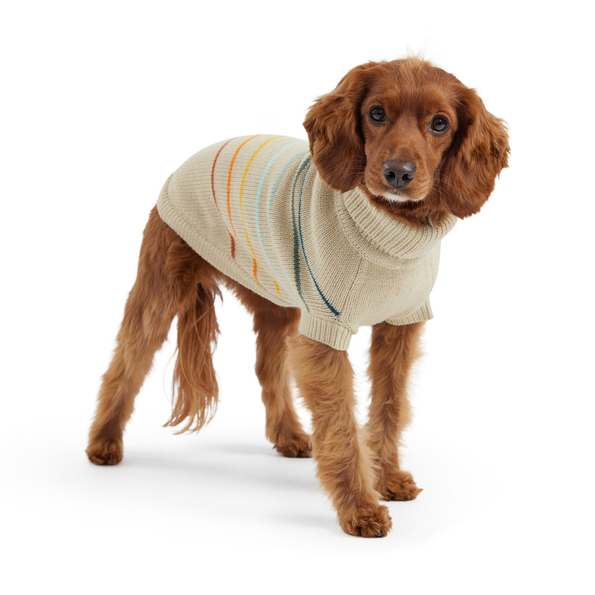 Product details:  Quality multi-knit turtleneck Fashionable retro color line design Secure ribbed arm holes for optimal comfort  Superior, sculpted unisex fit Authentic GF PET Logo Patch SKU: GS480F3-SD  Fitting: Simply pull the sweater over on your dog's head, insert front legs and pull to cover the back. With this great stretch, there is no fuss!  Care: Machine wash cold with like colors. Hang to dry. Do not iron. Do not bleach. Do not dry clean.